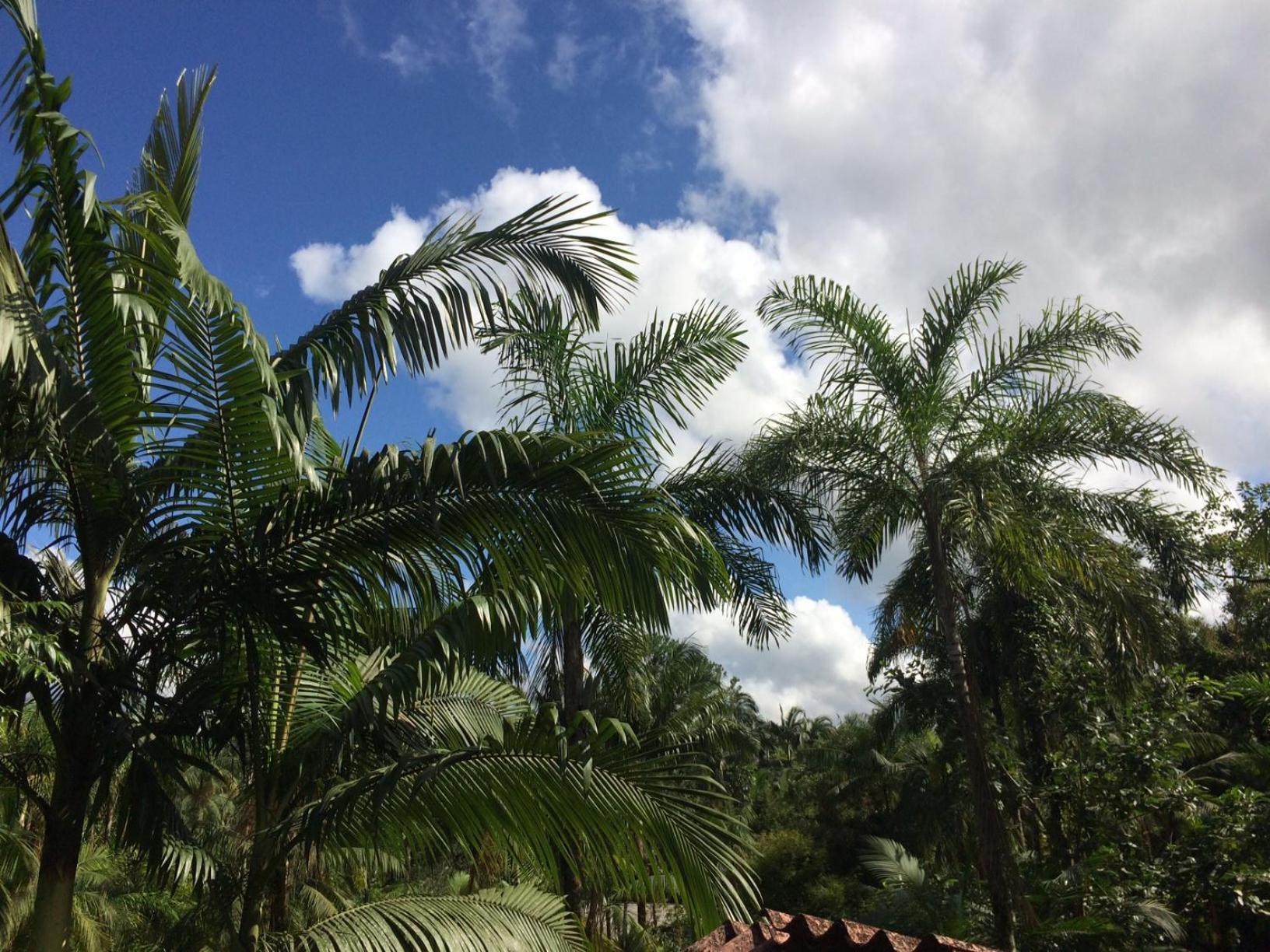 Alojamento de Turismo Selvagem Do Oasis *