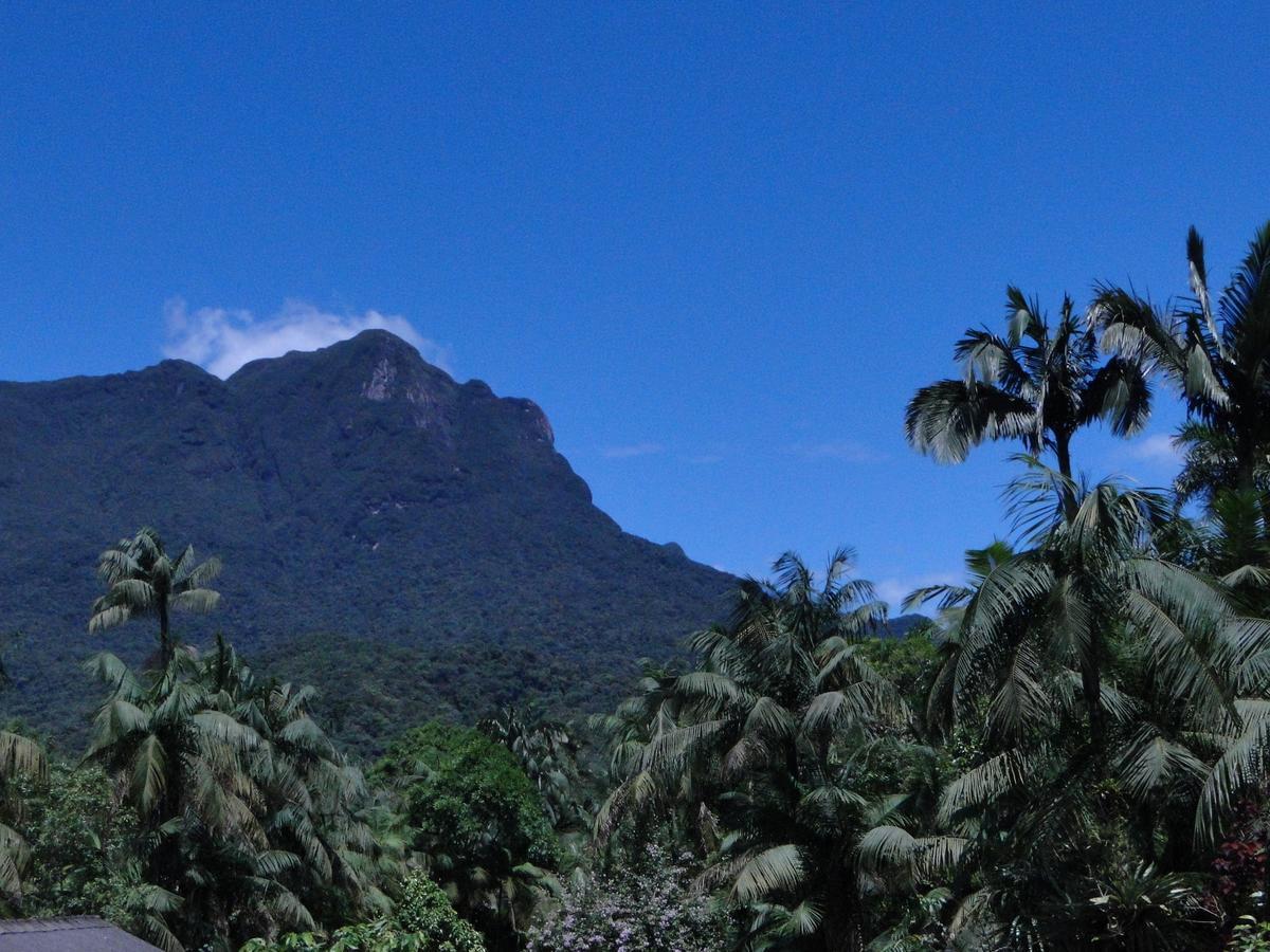 Alojamento de Turismo Selvagem Do Oasis Morretes