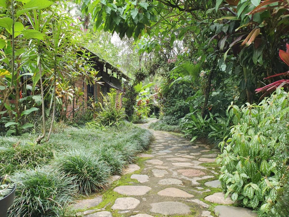 Alojamento de Turismo Selvagem Do Oasis