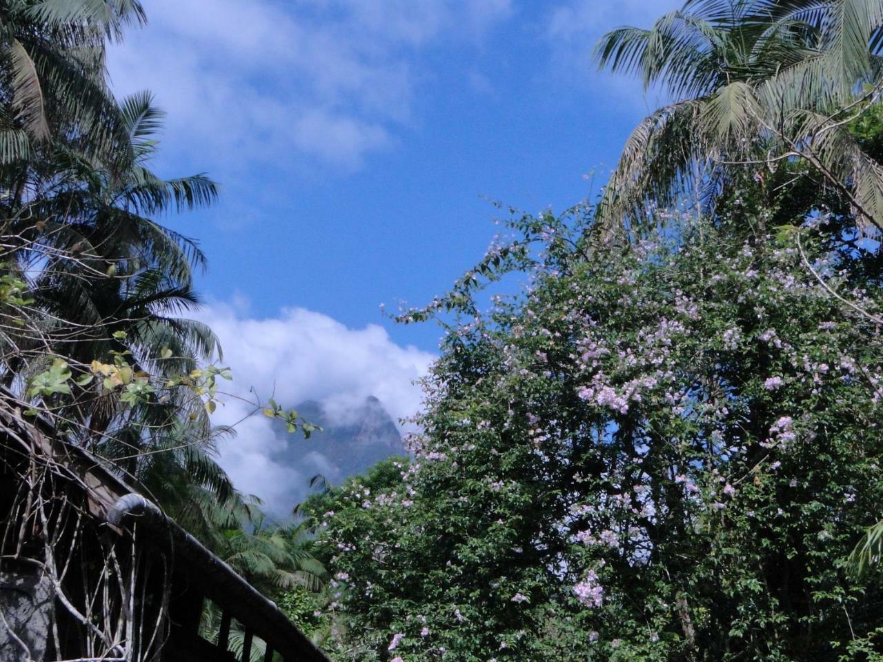 Do Oasis Alojamento de Turismo Selvagem