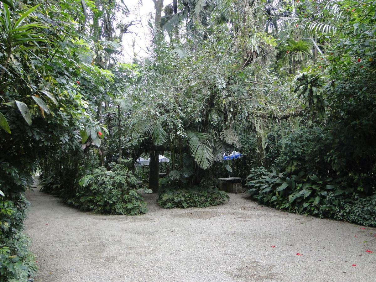 Do Oasis Morretes