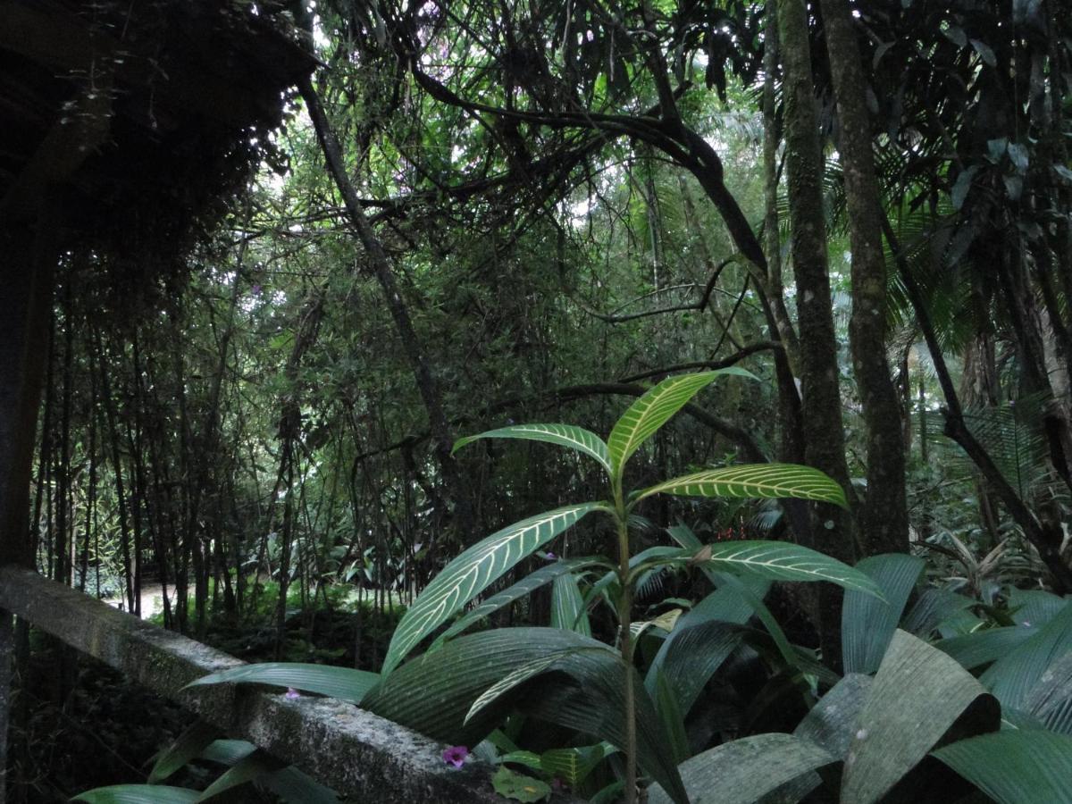 Do Oasis Morretes