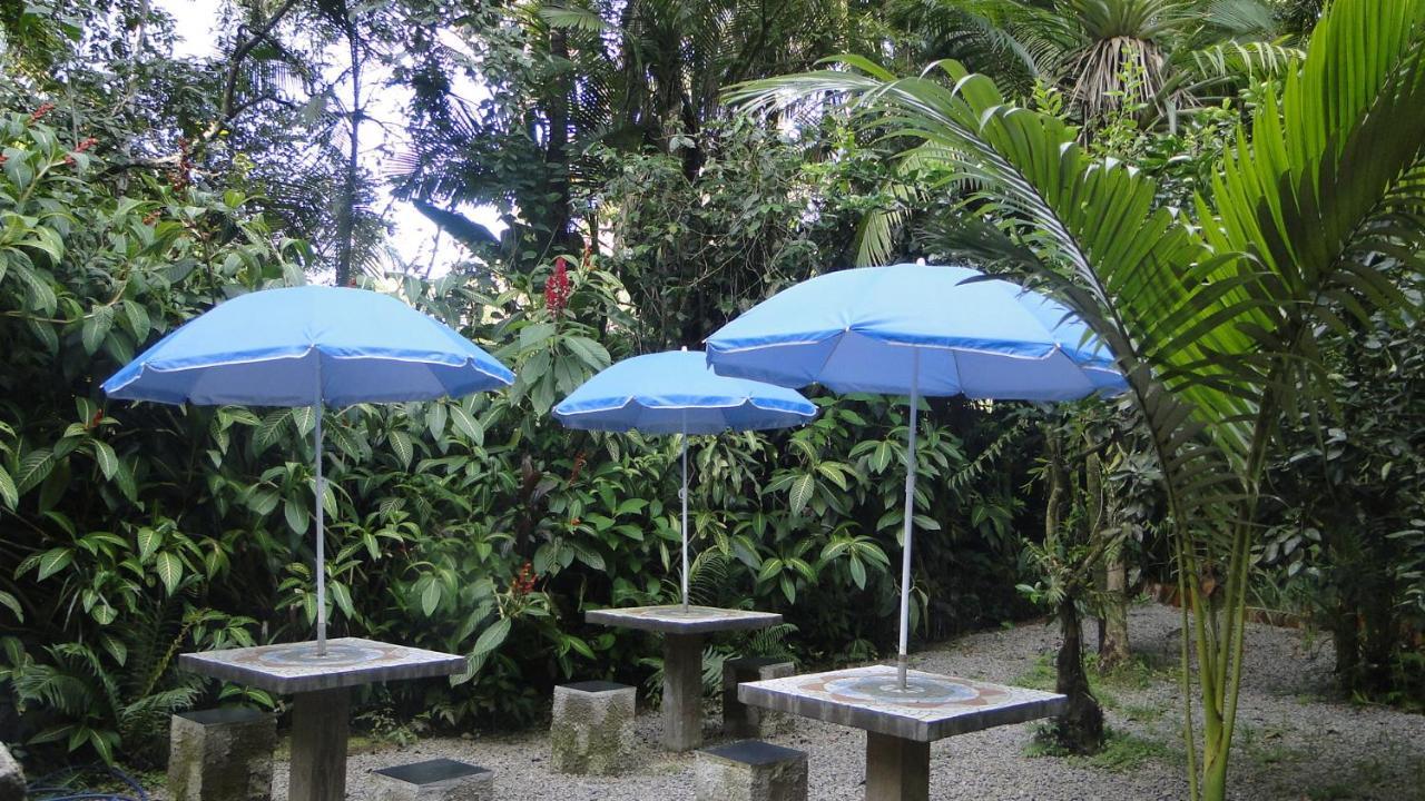 Do Oasis * Morretes